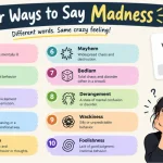 other ways to say madness