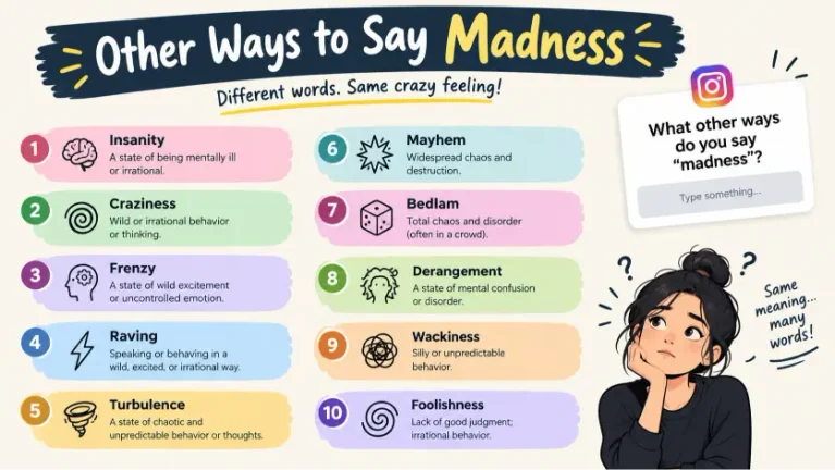 other ways to say madness